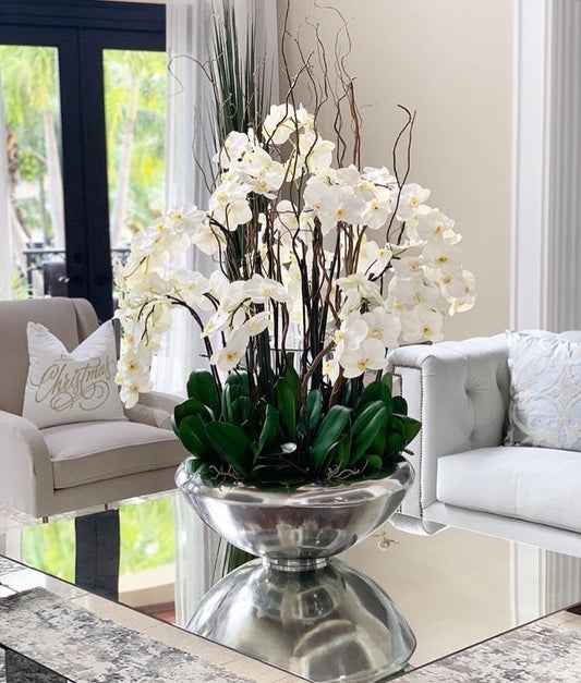 XL Orchid