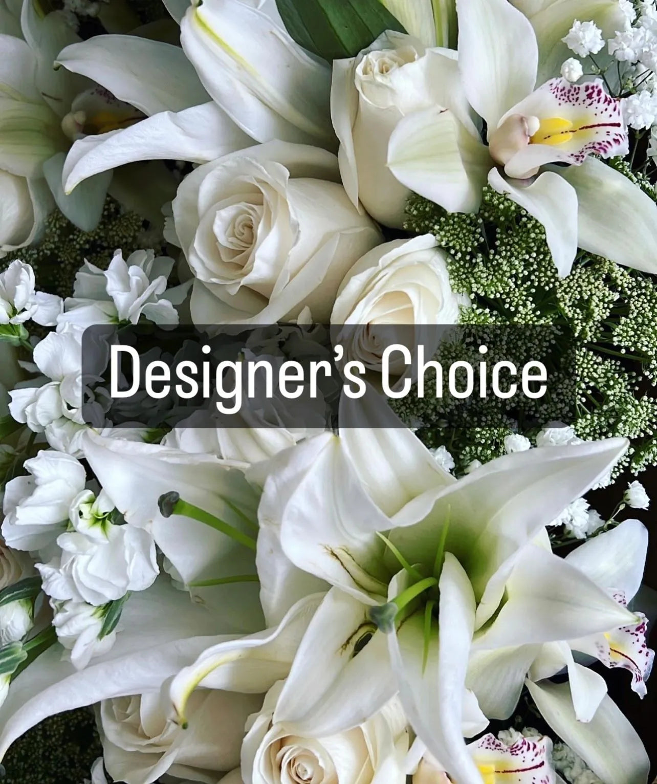 Designer’s Choice 2