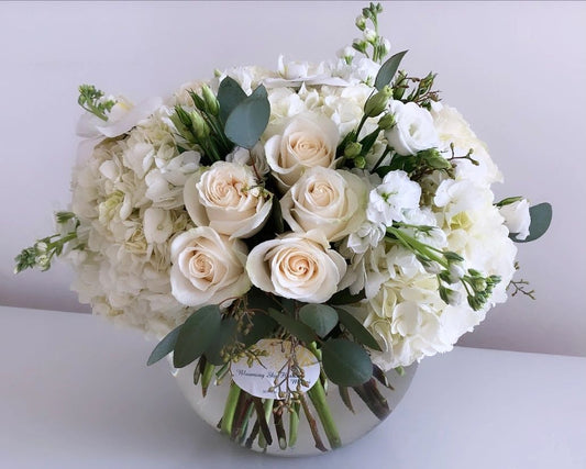 White Pearl Roses