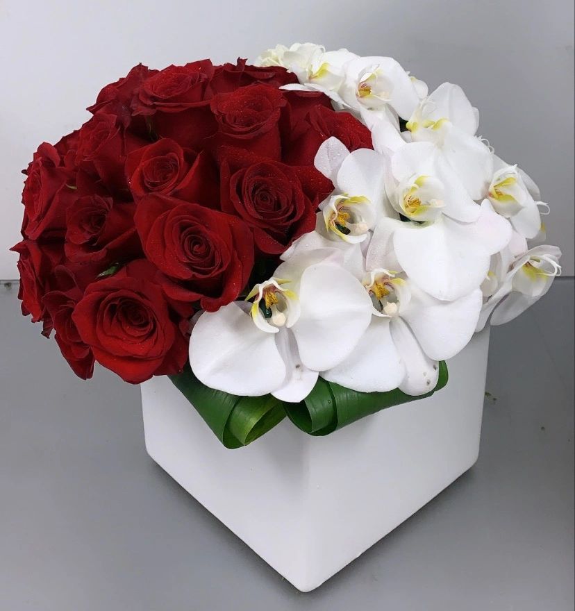 Elegant Roses